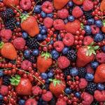 Drive the Fruit Loop