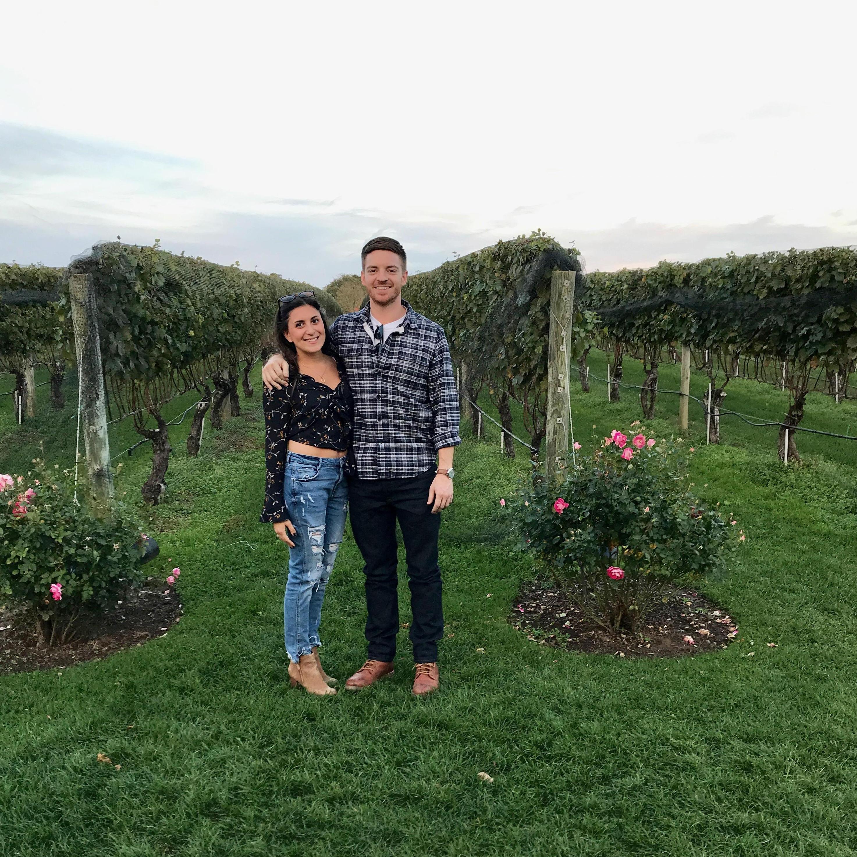 Wölffer Estate Vineyard - October 2017