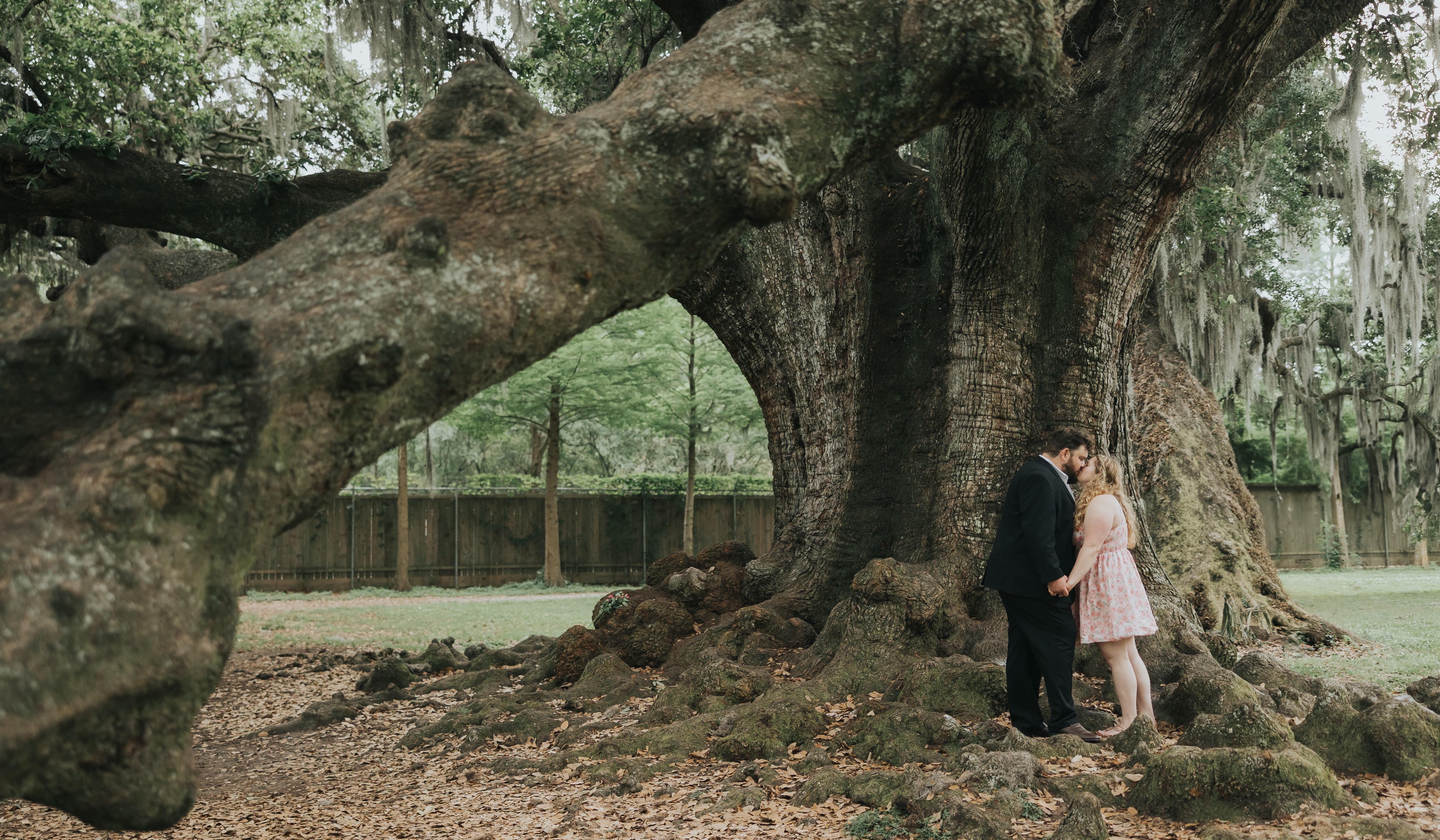 Hero Slideshow Image 0