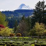 Stave & Stone Winery (Winery at the Vineyard)