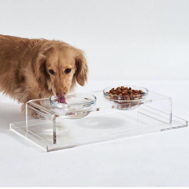 Glass Bowl Clear Elevated Feeder | AllModern