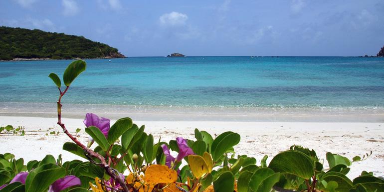 The Wedding Website of Tina Nieves and LeMonte Boyce