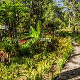 Botanical Gardens