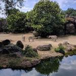 The Maryland Zoo in Baltimore