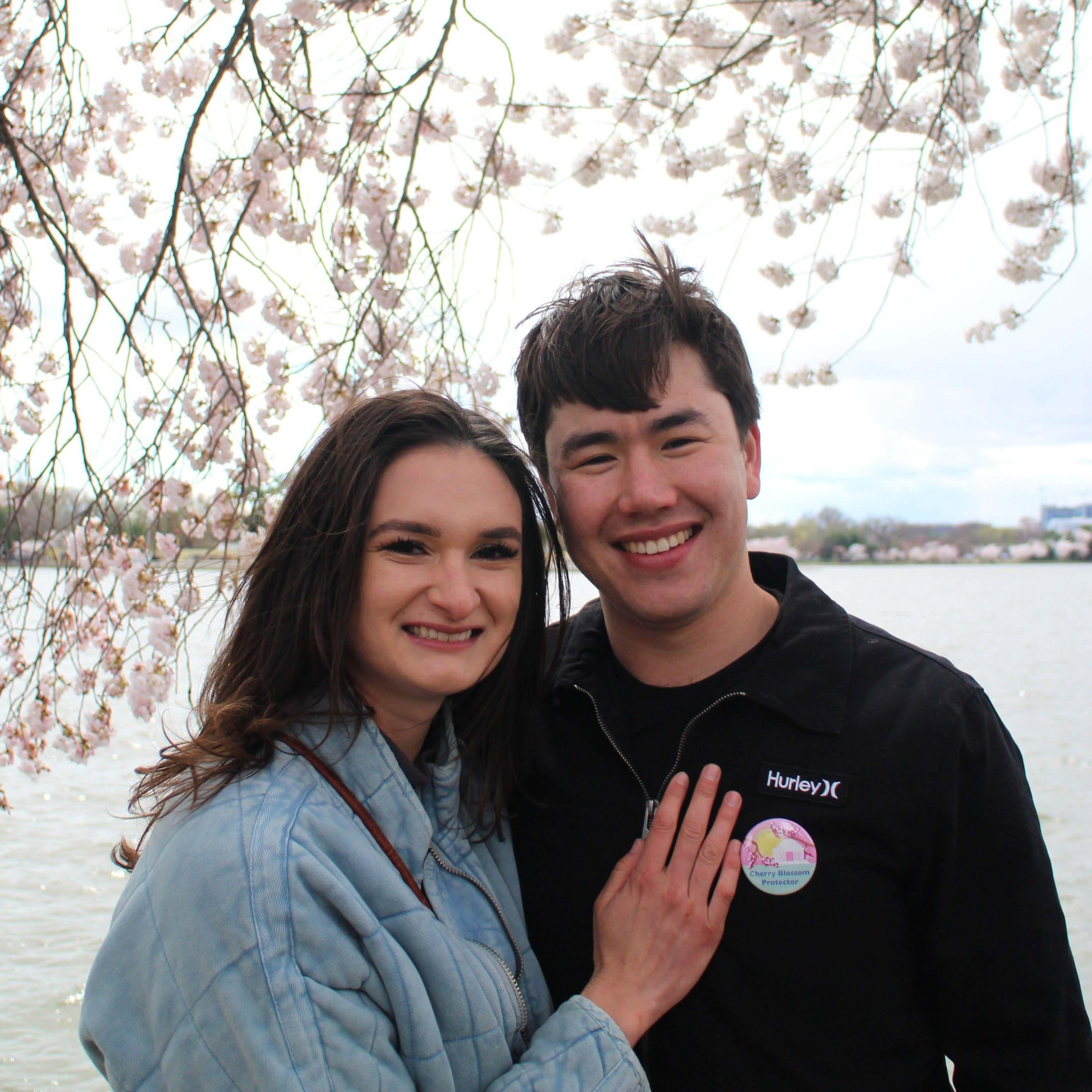 Cherry Blossom Festival in Washington DC