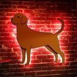 Lab'n Lager