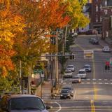 Festive Fall Activitiees