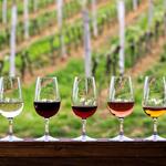 Wine Tasting
