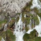 Niagara Springs State Park