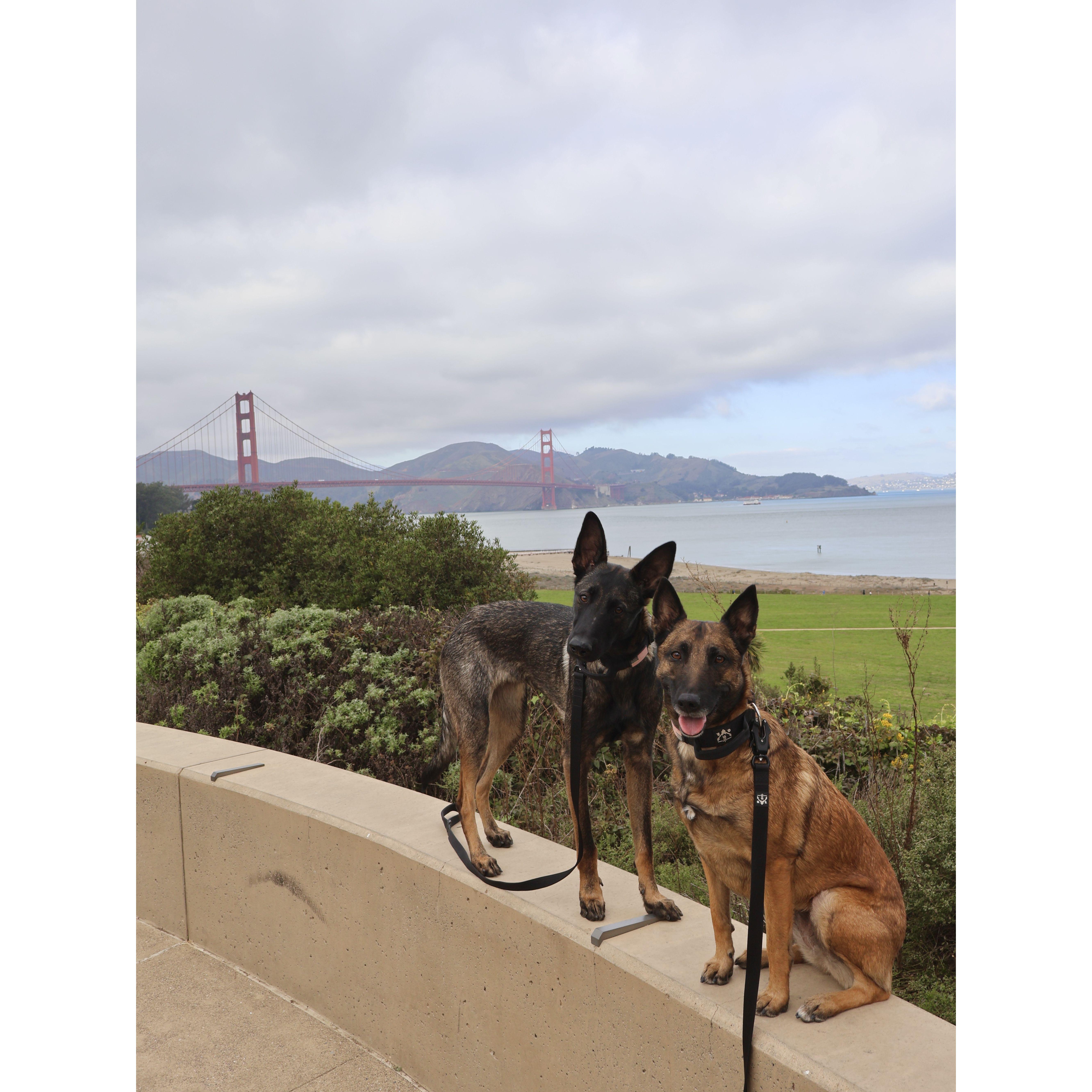 January 2025 | Trip to San Francisco, CA