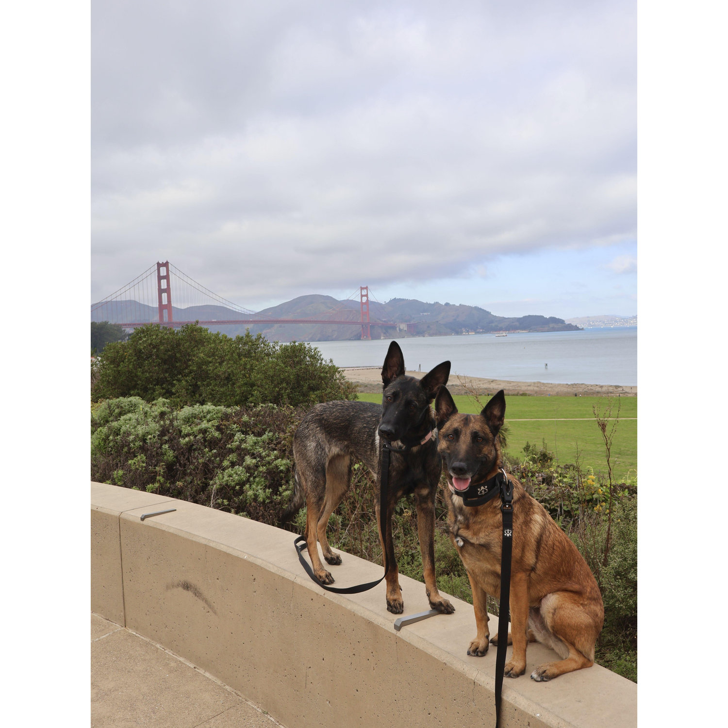 January 2025 | Trip to San Francisco, CA