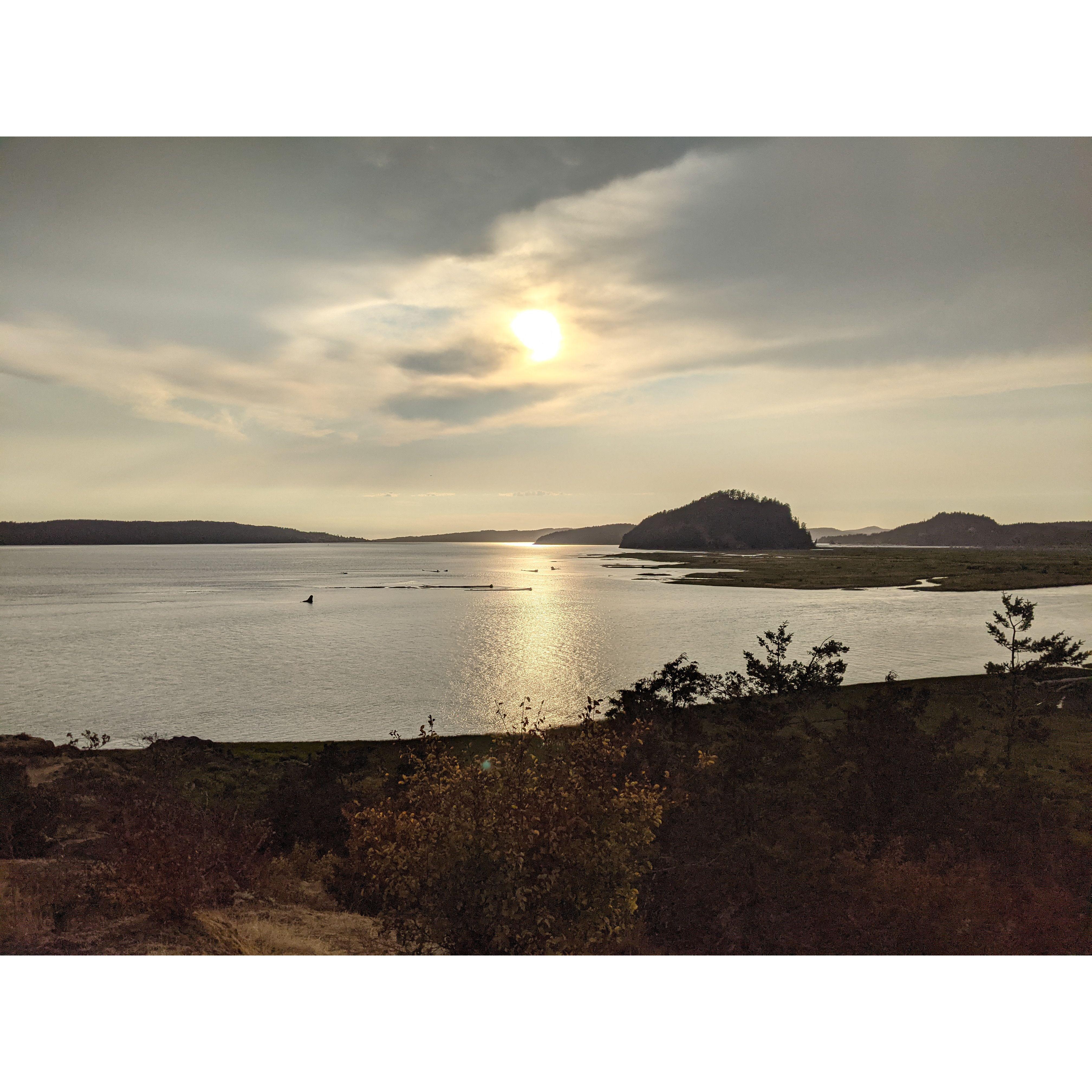 The view from where Henry said "Let's do this thing." I thought he meant jump off the rock, he meant start dating... 08/03/21