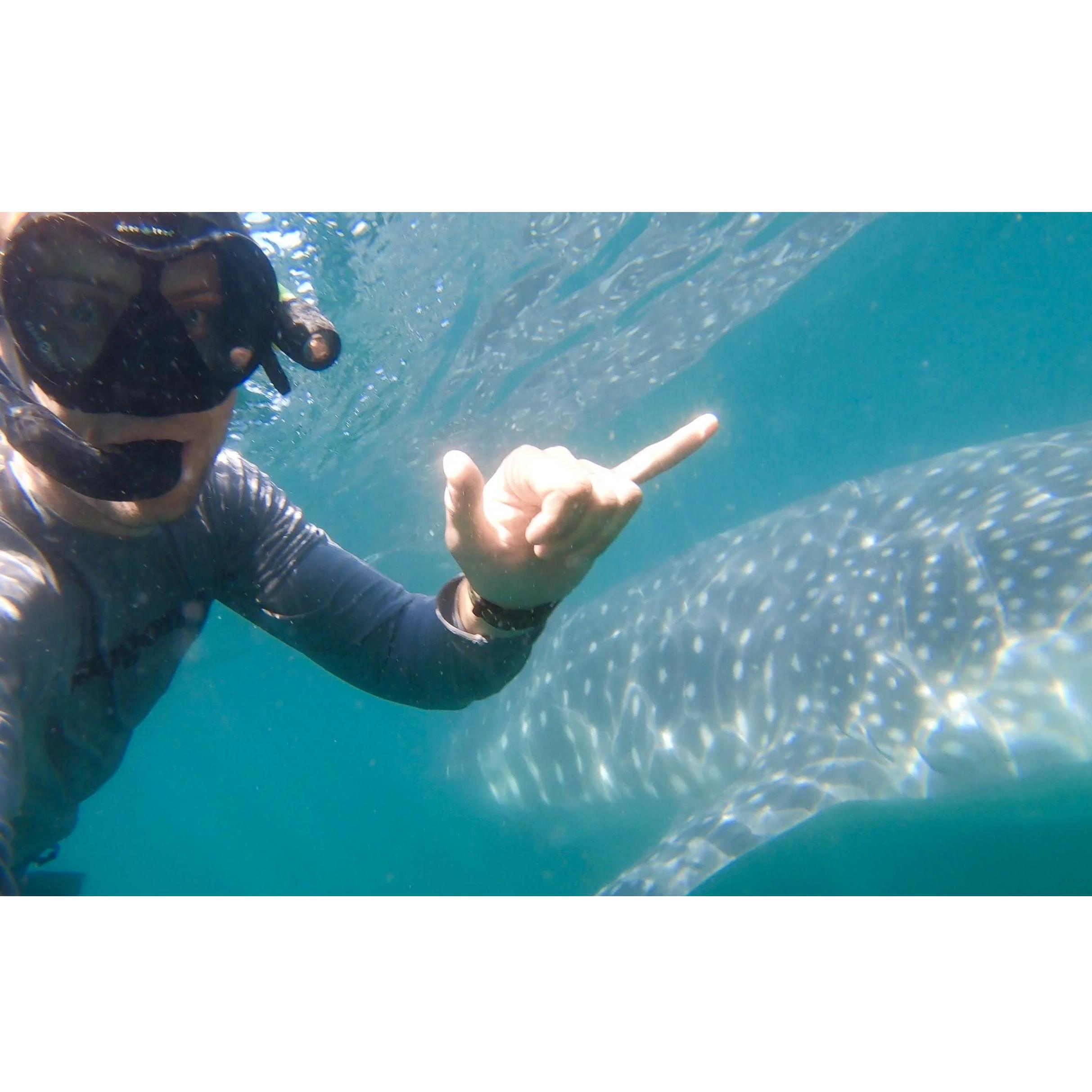 Grant rarely takes selfies... but when he does, it usually involves a whale shark!
