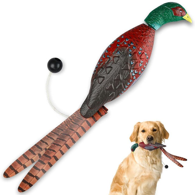 Archerest Dead Pheasant Dummy Bumper Toys for Waterfowl Hunting Retriever Dog Training, Floating Bird Scent Dog Dummy Trainer Outdoor Soft Durable Realistic Fowl