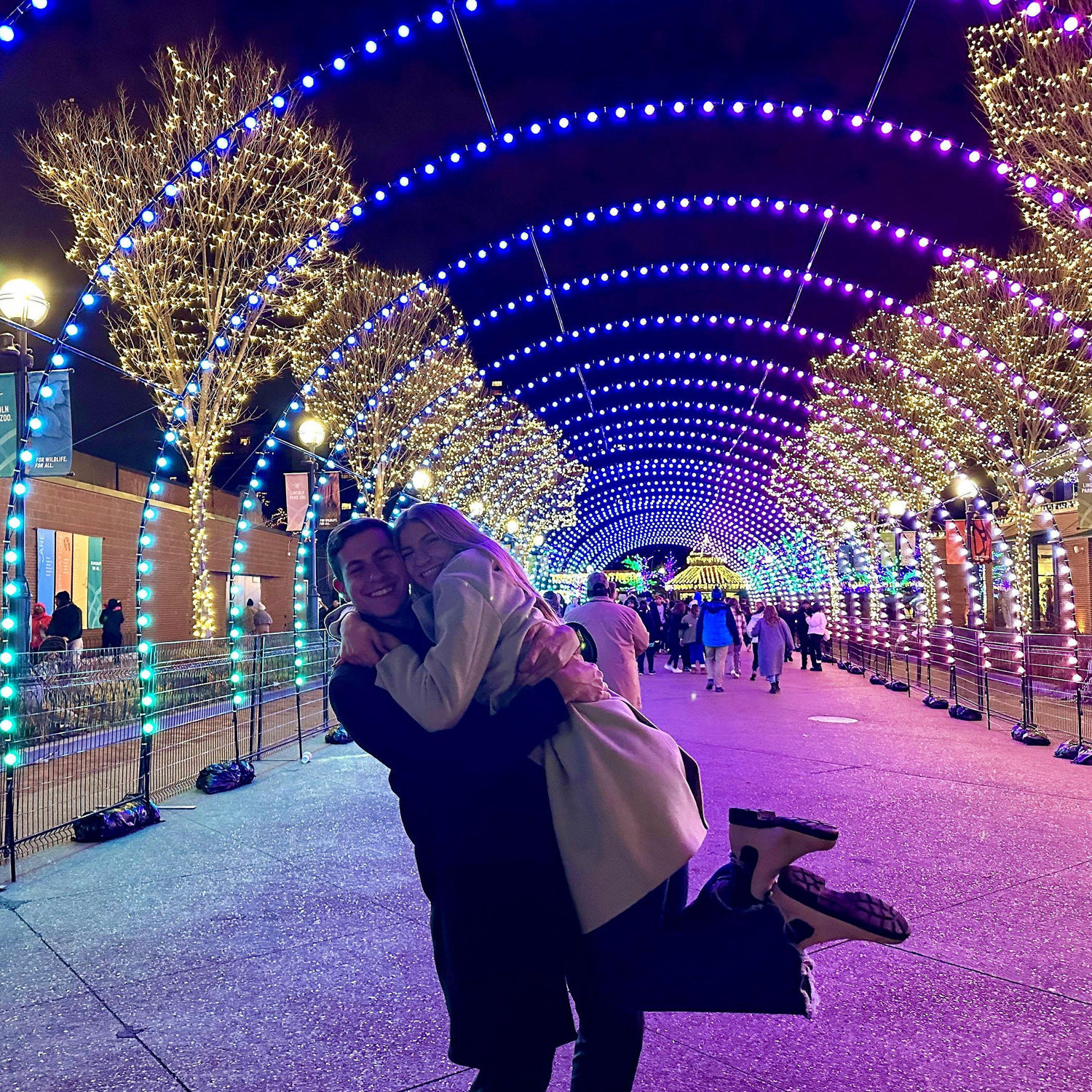 Lincoln Park Zoo Lights! Our favorite Christmas in Chicago tradition