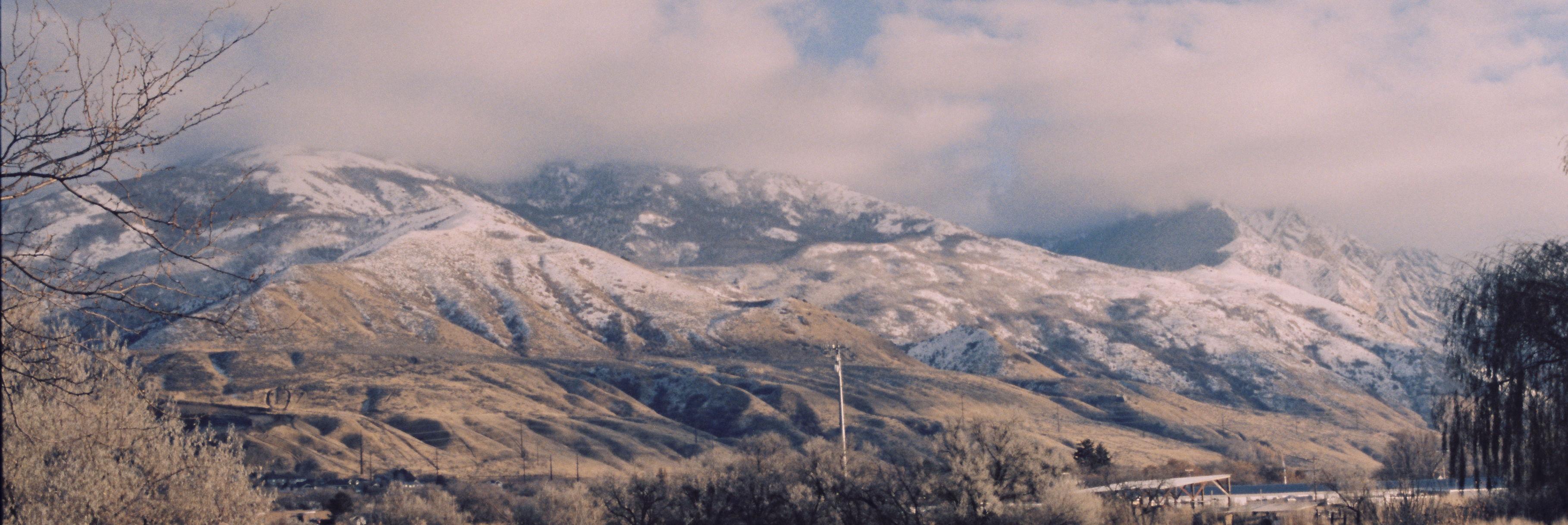 The Wedding Website of Marciano Carter Preciado and Catalina Martinez Leal