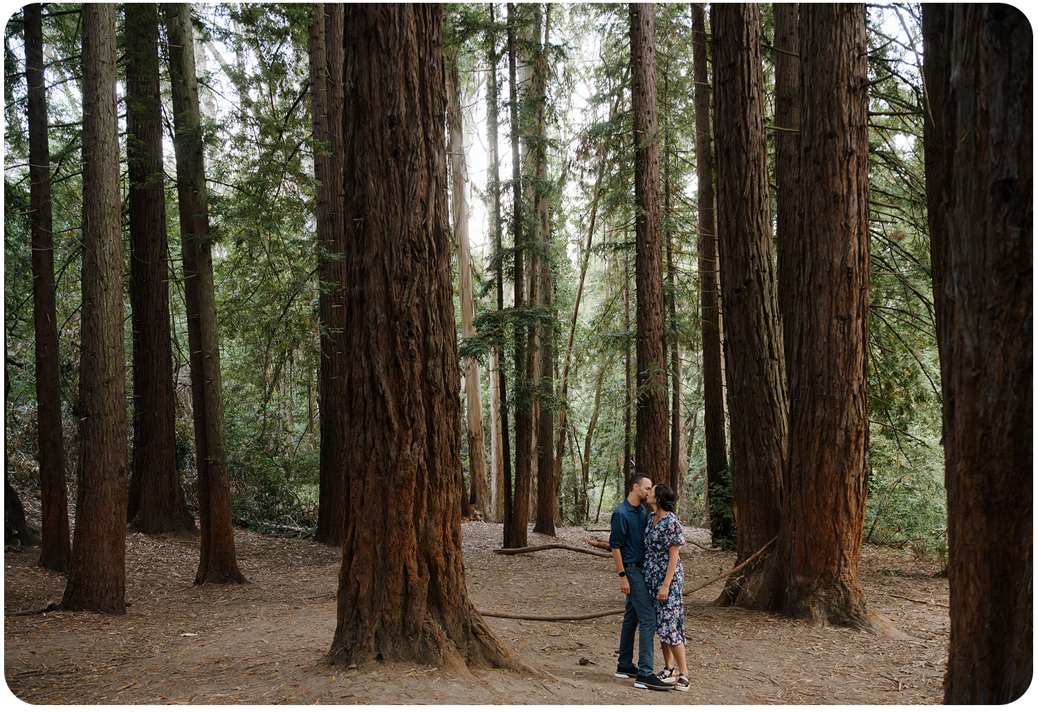 The Wedding Website of Lisa Torres and Sterling Lockert