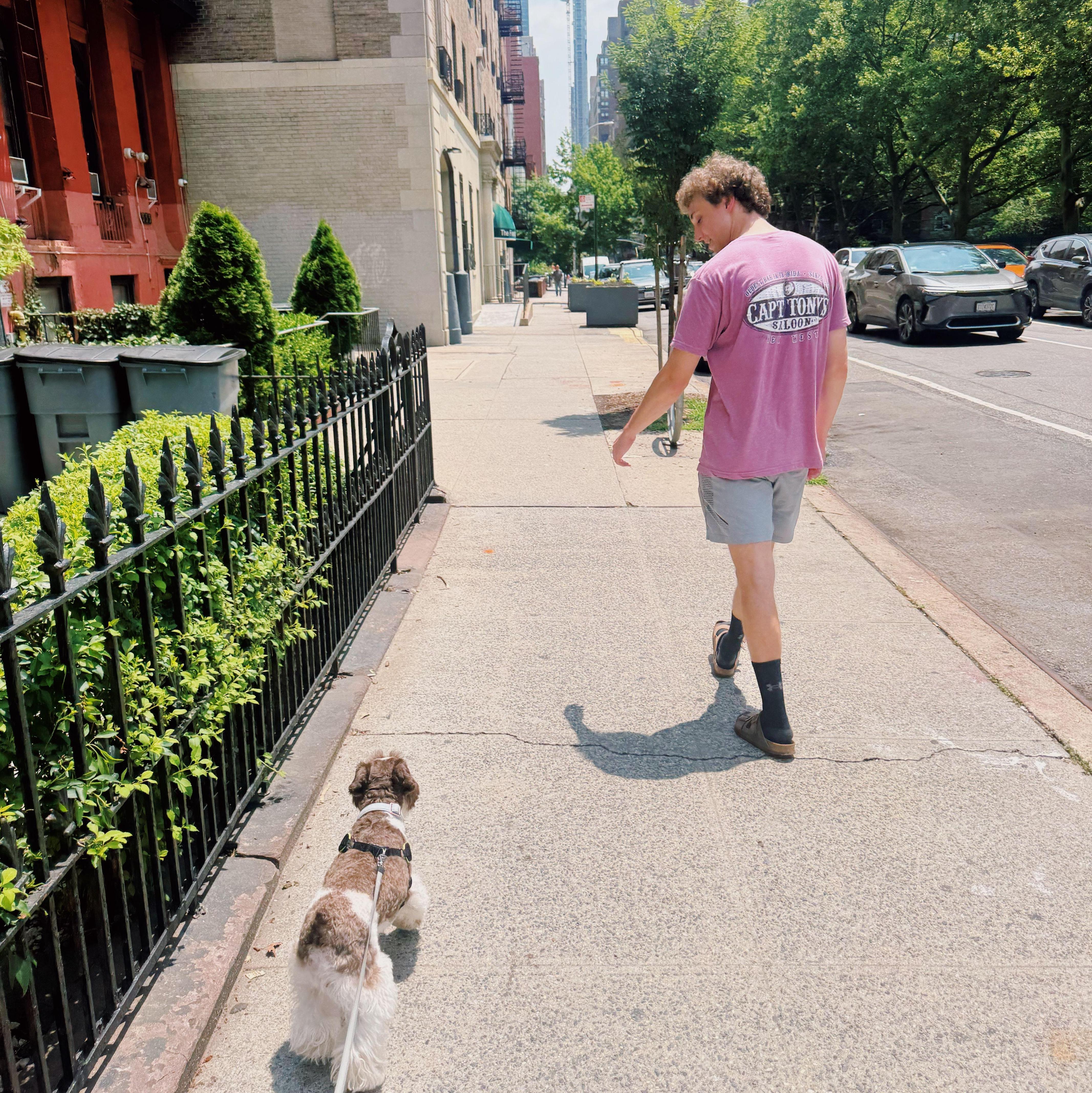 June 23 - July 6, 2025: Laney's, Jack's, and Hank's first taste of living in NYC