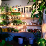 Art Terrarium