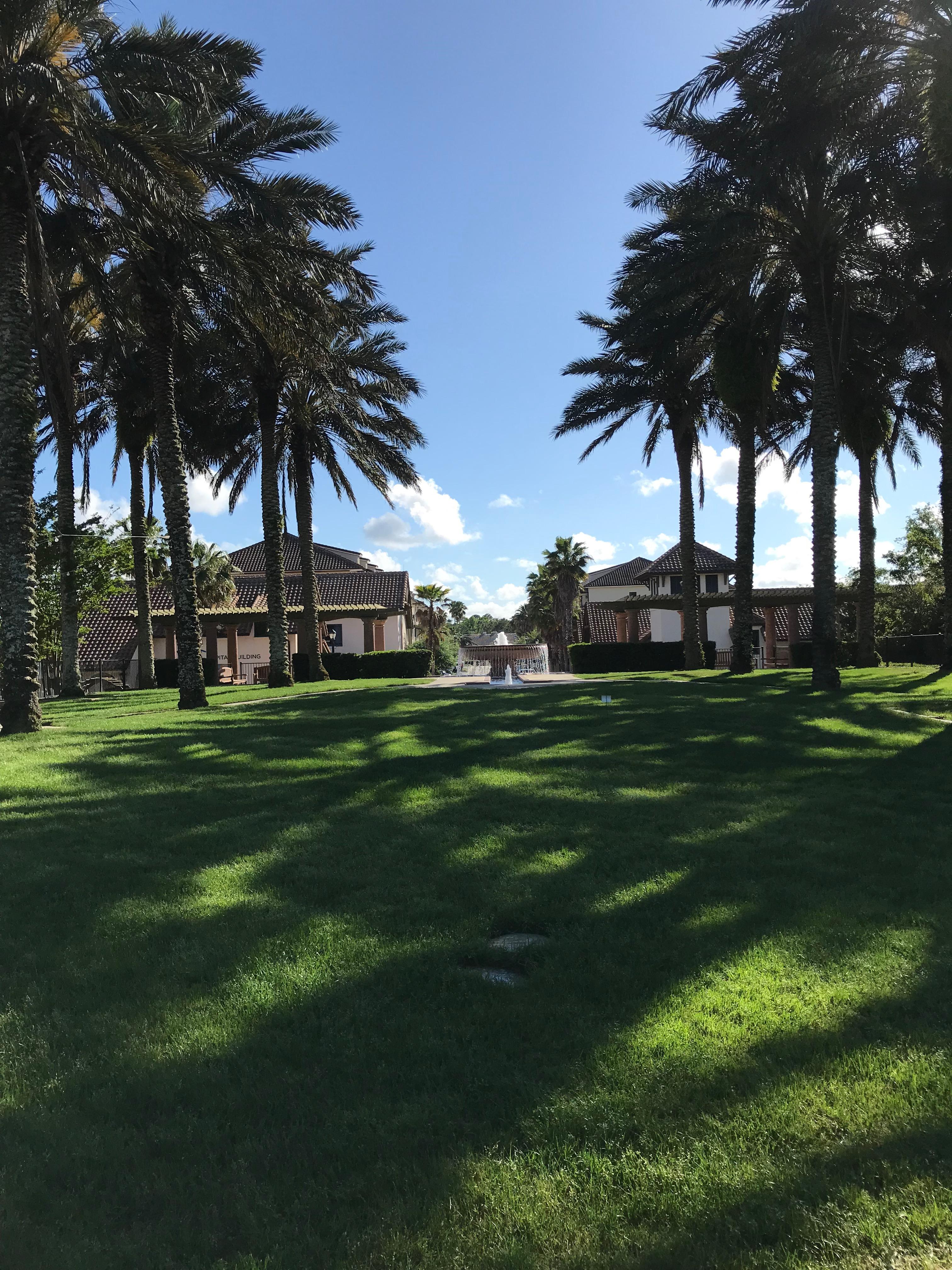 The Wedding Website of Matthew Juber and Demetria Velazquez