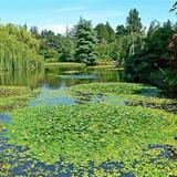 VanDusen Botanical Garden