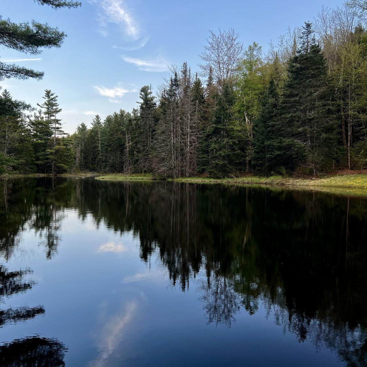 Camp Neringa Prudas... jump if you dare Sunday morning.