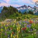 Mount Rainier National Park