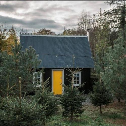 Tin Hut
