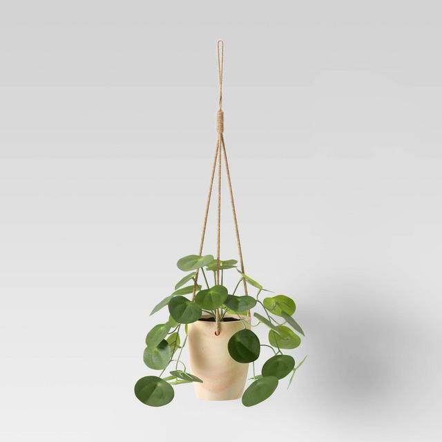 Hanging Succulent with Wood Base - Opalhouse™