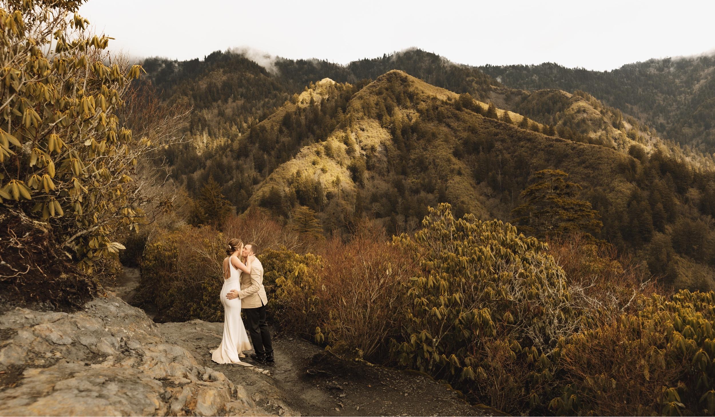 Hero Slideshow Image 0