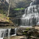 Short Springs Natural Area