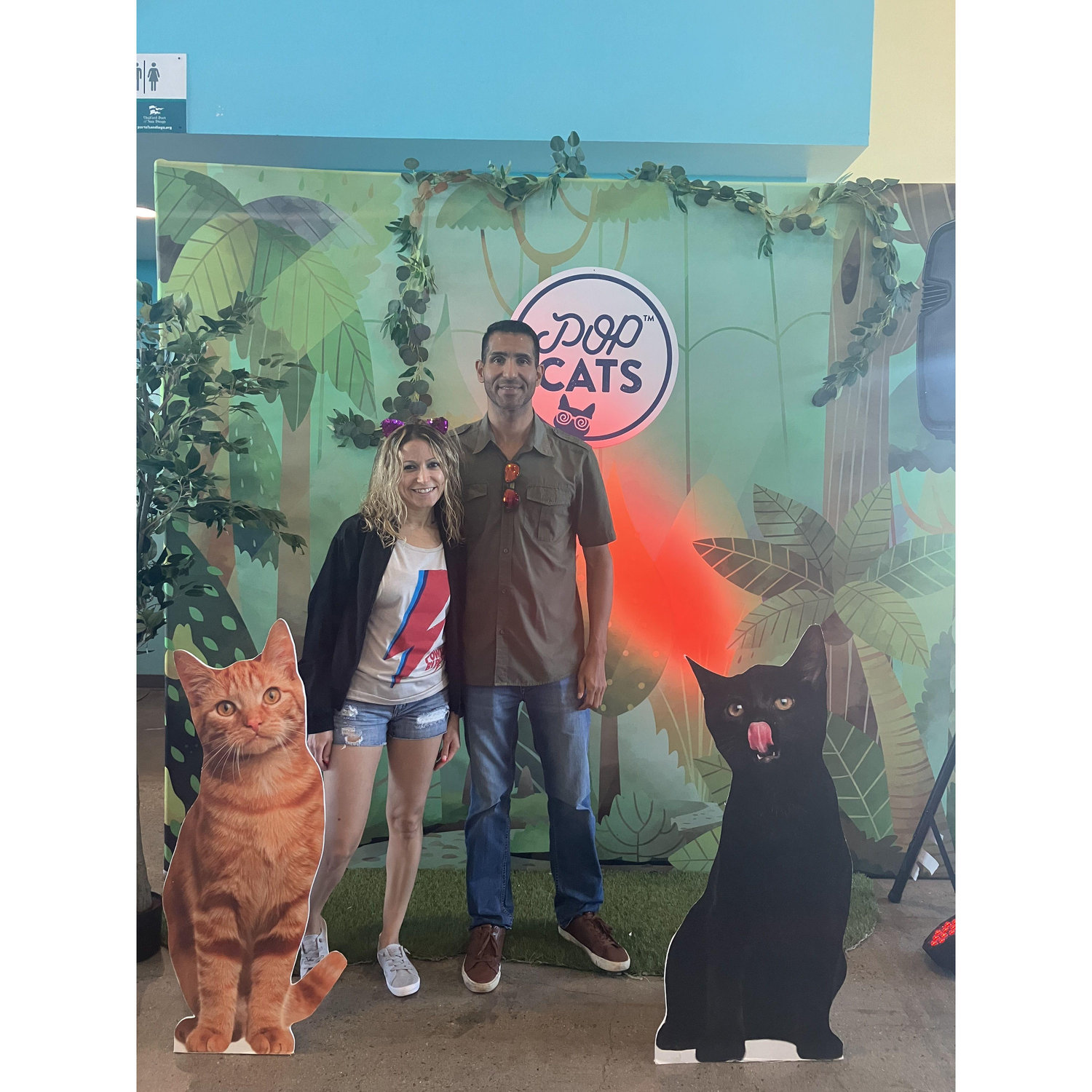 Cat Pop-Up, because we love cats.