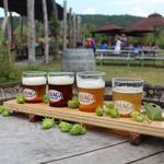 Ithaca Beer Co