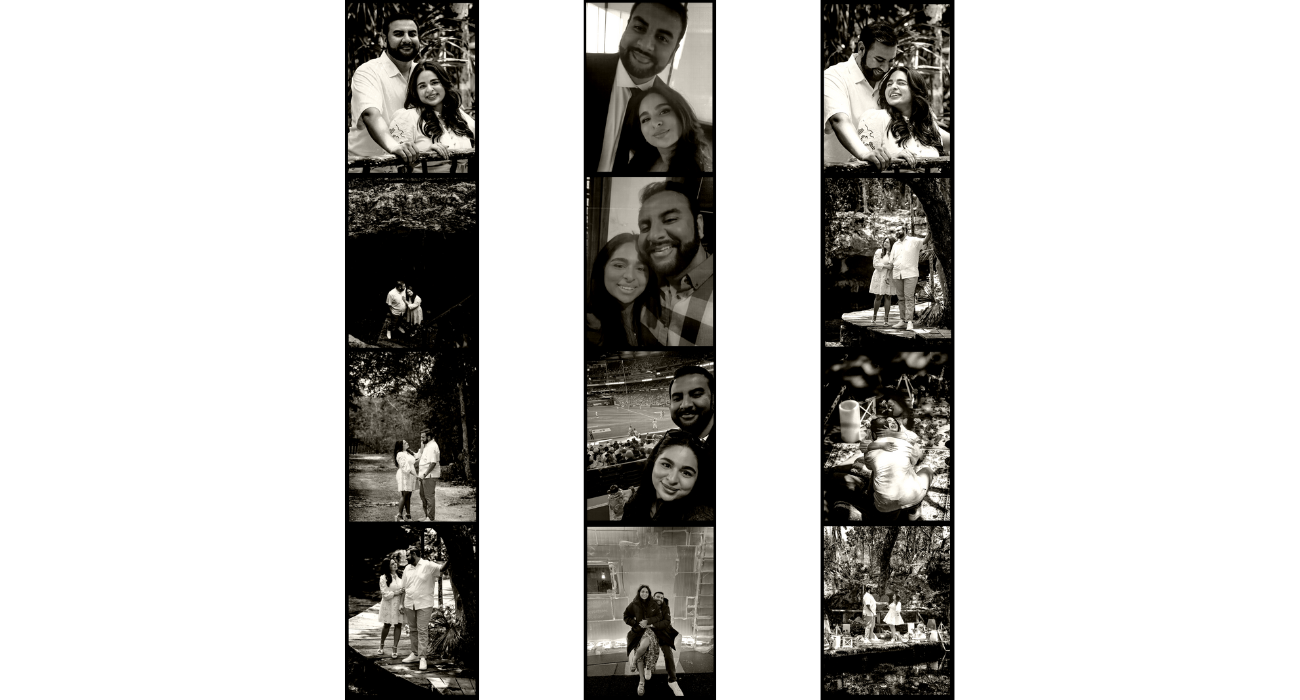 The Wedding Website of Hussain Arab and Niha Lakdawala