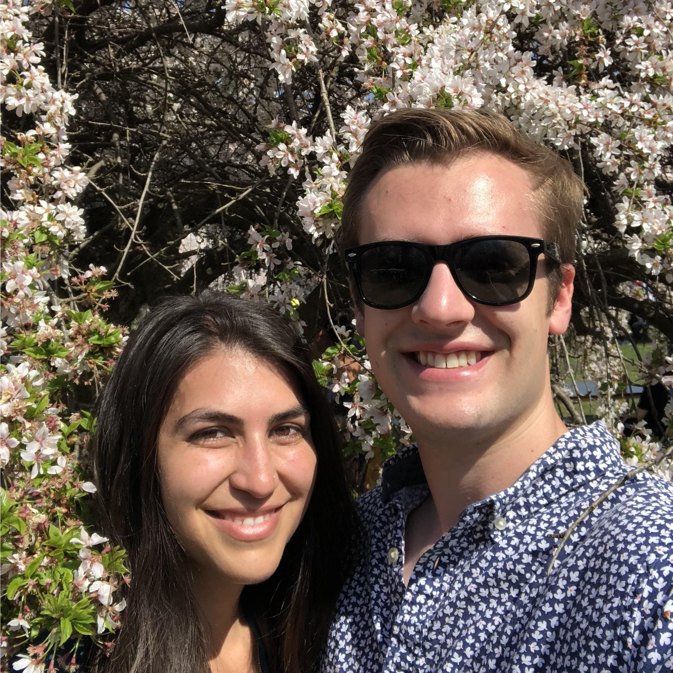 Philadelphia Cherry Blossoms