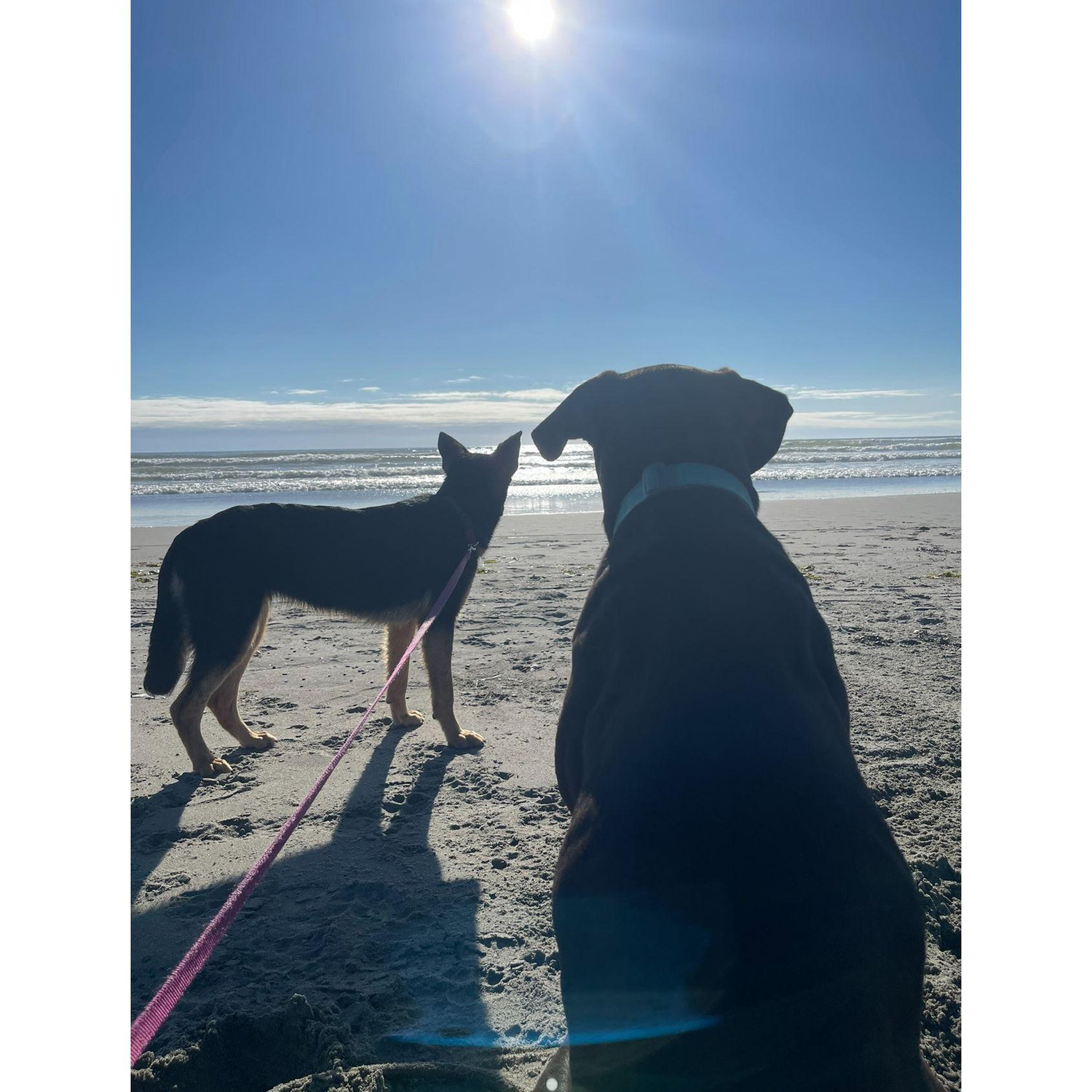 Ocean Shores