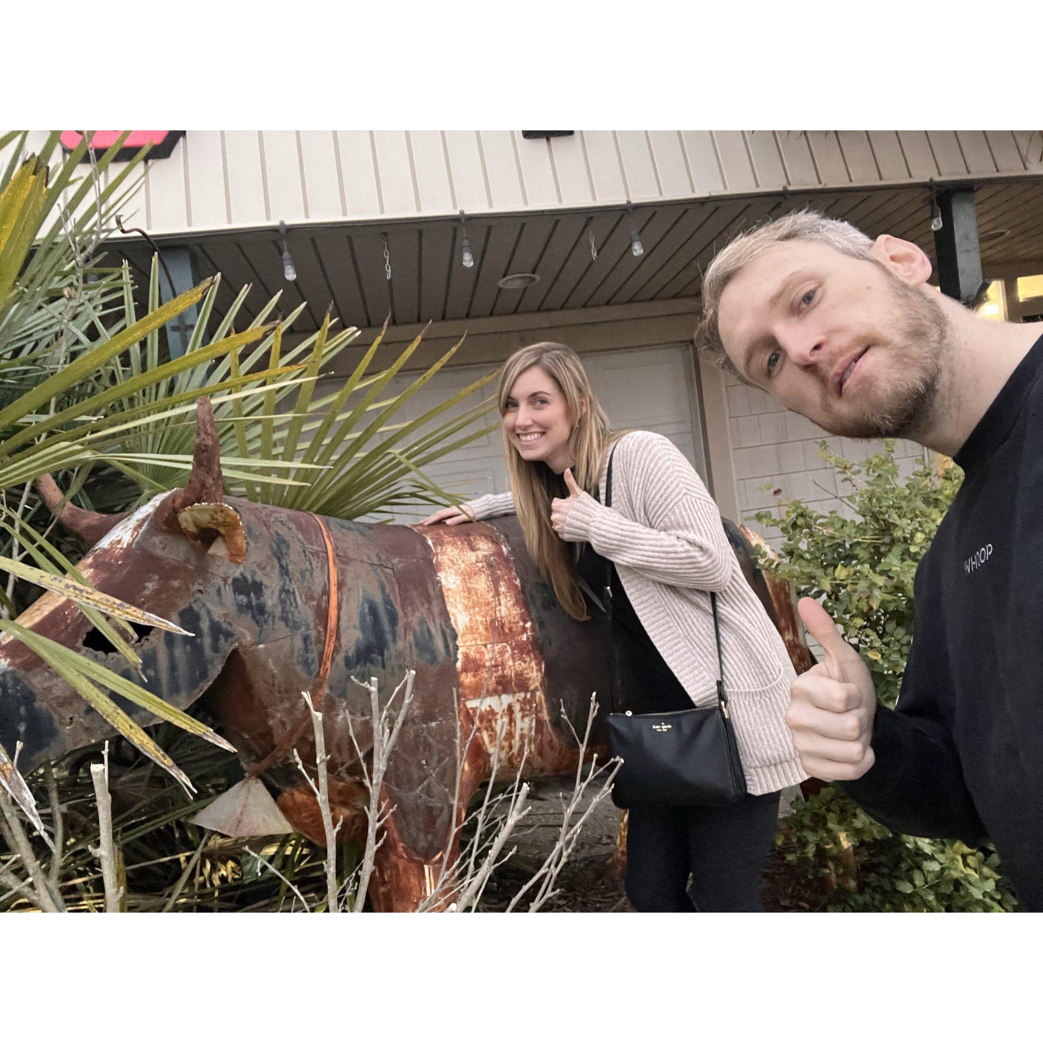 North Carolina - We found another cow