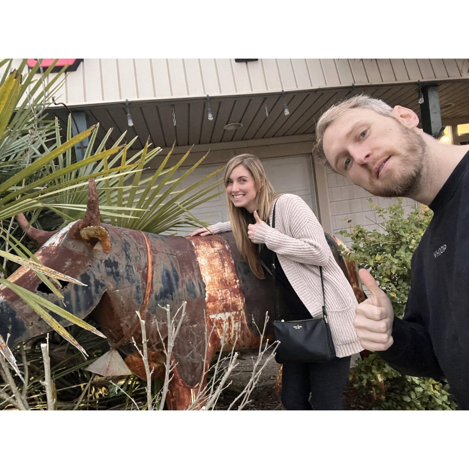 North Carolina - We found another cow