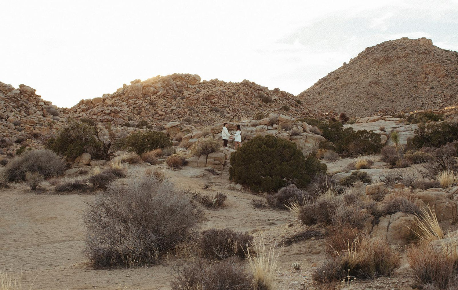 The Wedding Website of Connor Sudjian and Jazzlyn Tristan