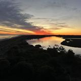 Beachwalker, Kiawah Island