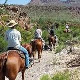 Horseback Riding