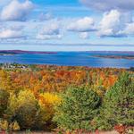 Avalanche Preserve