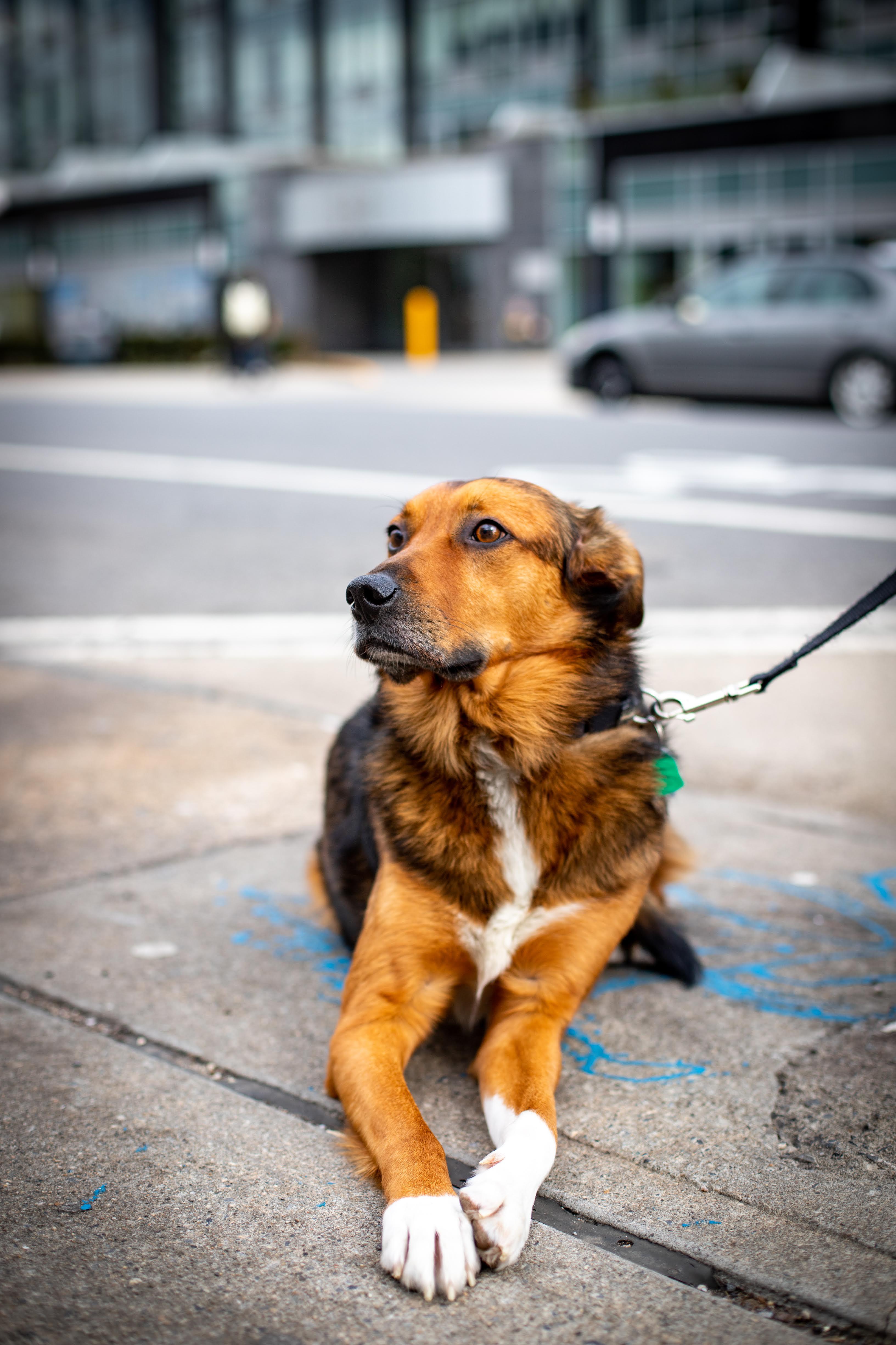 The Wedding Website of Katie Bonfiglio and Jordan Zaprowski