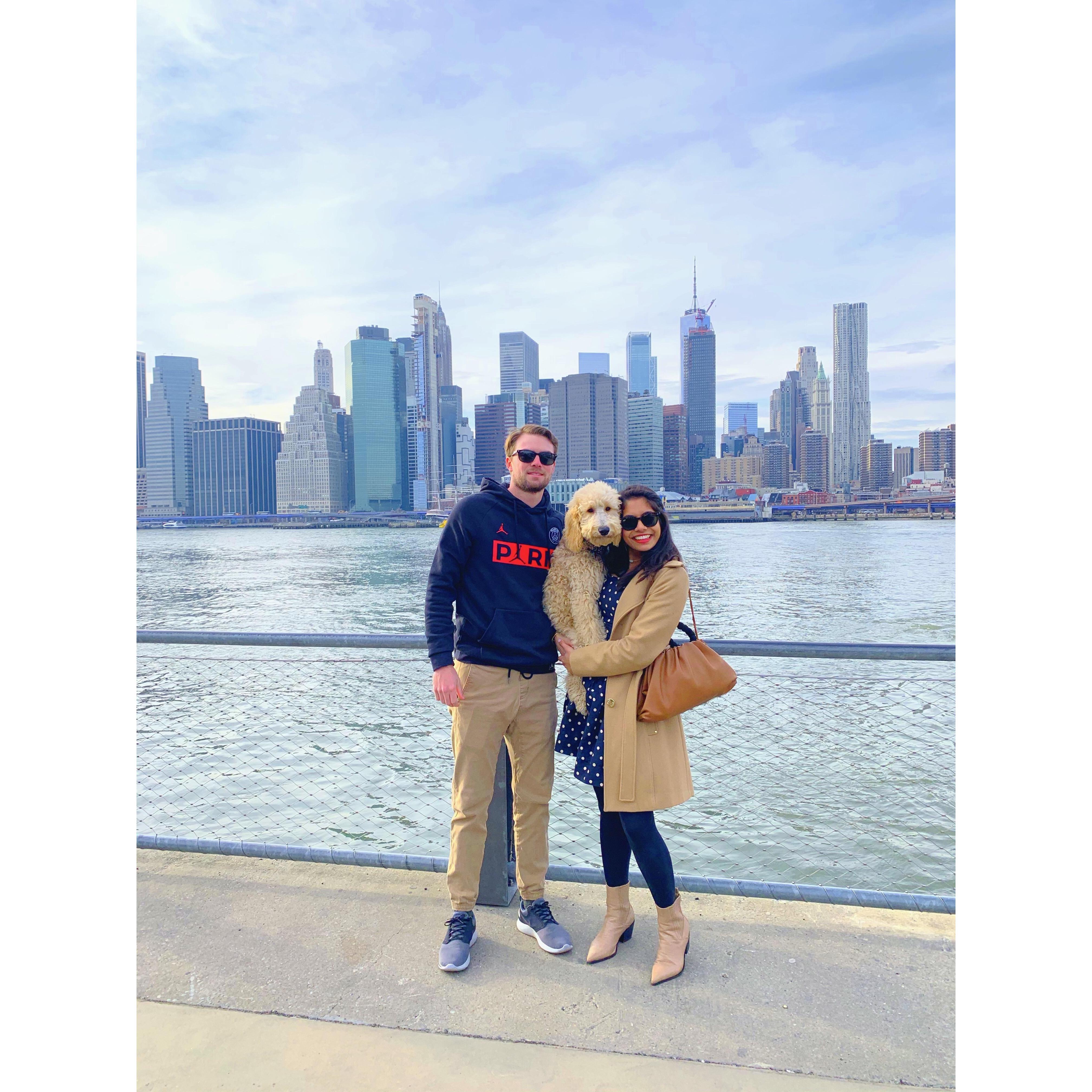 2020: Exploring NYC as a family! Scheyer is quite the city dog!