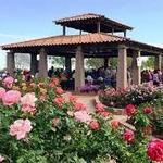 South Texas Botanical Gardens & Nature Center