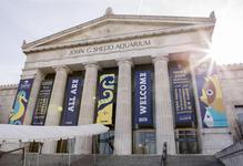Shedd Aquarium