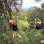 Kohala Zipline