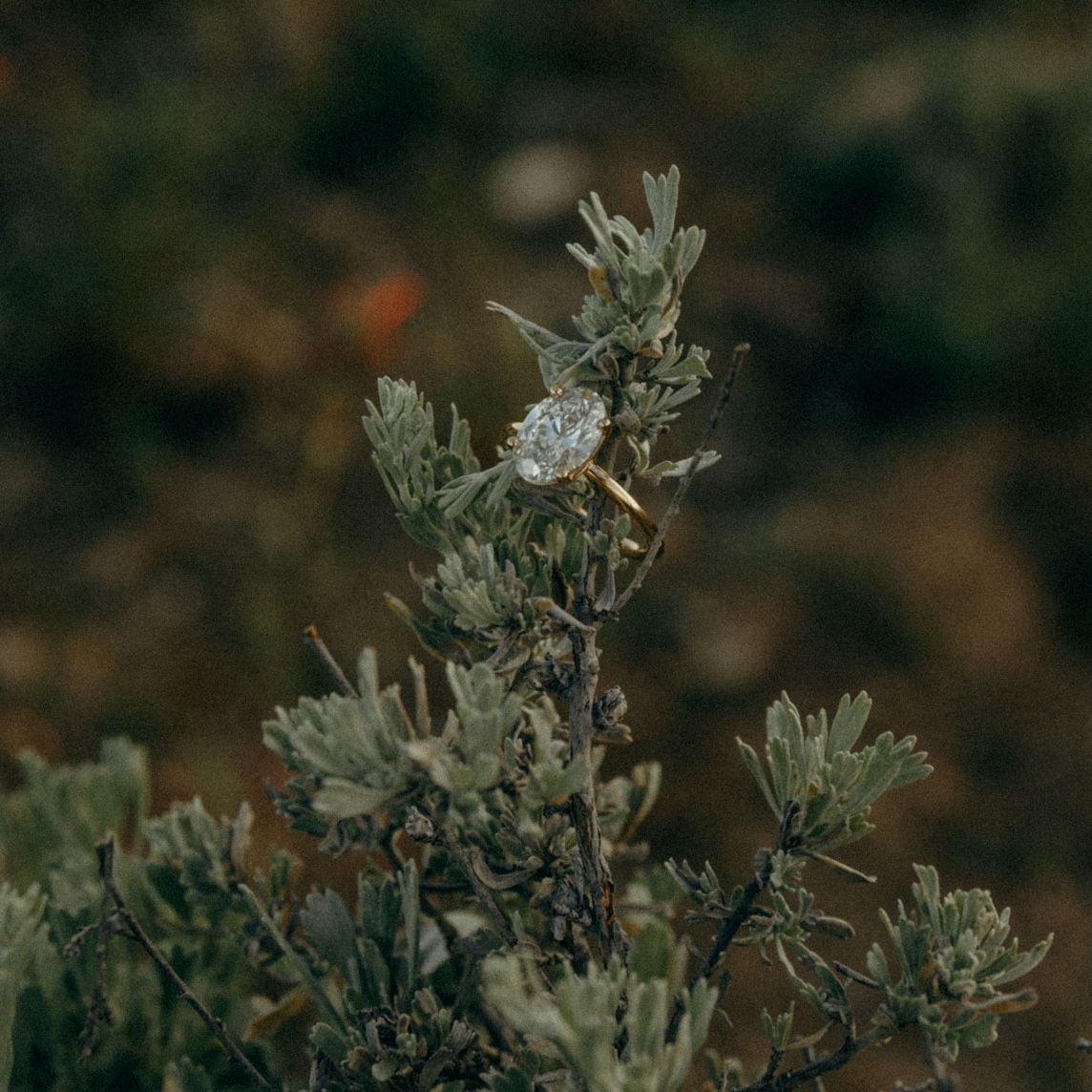 A ring