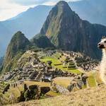Cusco