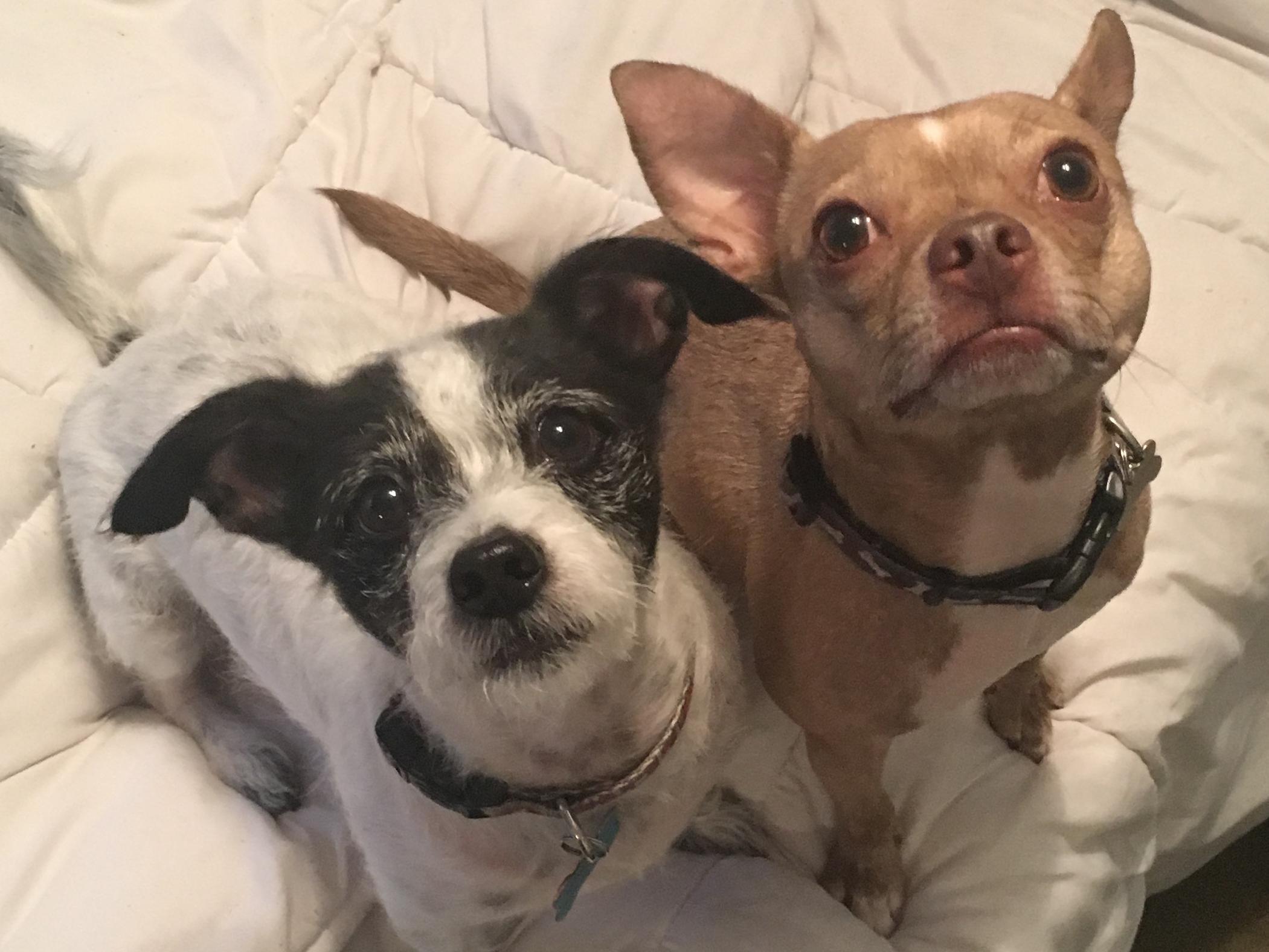 Ren & Mo’s Treat Fund